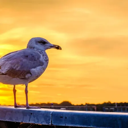 Waterfront 1 Travemuende